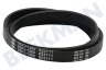 Gorenje Waschmaschine Keilrippenriemen Riemen 6EPJ 1260