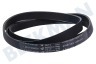 Ignis Waschmaschine Riemen 1204 PHE8