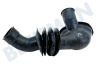 Haier Waschmaschine Schlauch Schlauch Wanne - Pumpe