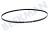 Haier Waschmaschine Riemen 1121EPJ5