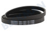 Haier Waschmaschine Riemen 1121EPJ5