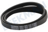 Haier Waschmaschine Riemen 1121EPJ5