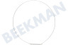 Hisense Waschmaschine Manschetten-Spannring
