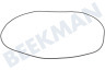 Hisense Waschmaschine Gummidichtung
