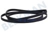 LG Trockner 4400EL1001C Keilriemen 8PH1933