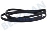 LG Trockner 4400EL1001C Keilriemen 8PH1933