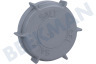 Deckel
