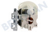 Ignis Spülmaschine Pumpe Umwälzpumpe-Motor