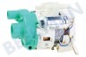 Smeg Spülmaschine 795210634 Umwälzpumpe Geschirrspüler