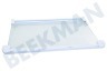 Whirlpool Kühlschrank C00517626 Glasplatte