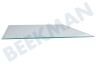 Indesit Kühlschrank 114617, C00114617 Glasplatte