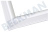 Elektra-bregenz Kühlschrank 215217, 00215217 Dichtungsgummi 545x515mm -weiß-