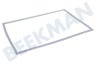 Bosch Kühlschrank 242232, 00242232 Dichtungsgummi weiß
