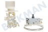 Thermostat Ranco K59S1884500 + Lampenfassung ersetzt A13 0697