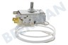 Alno Kühlschrank Thermostat *** K-59 L 1260 L ab 1117