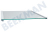 LG Kühlschrank Glasplatte komplett mit Leisten oben/Mitte