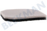 Electrolux Staubsauger Filter Schaumstofffilter