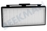 Bosch Staubsauger Filter Hepa-Filter 195x85x25mm