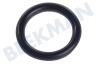 Karcher Dampfreiniger O-Ring 8,73 x 1,78