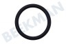Karcher Hochdruck O-Ring EPDM 22x3