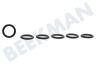 Karcher Hochdruck 6.362-151.0 O-Ring 10 x 2mm