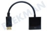 Displayport zu VGA Adapterkabel 20 cm