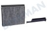 17006795 Filter Kohlefilter