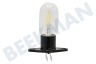 10011653 Lampe 25W 240V Mikrowellengerätelampe mit Befestigungssockel