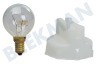 Bosch Ofen-Mikrowelle 613655, 00613655 Lampe Backofenbeleuchtung 40W E14 mit Reparaturset