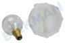 Bosch Ofen-Mikrowelle 613655, 00613655 Lampe Backofenbeleuchtung 40W E14 mit Reparaturset