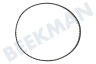 DeLonghi Kaffeemaschine Riemen des Motors