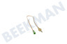 Thermoelement
