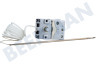 Proline Ofen-Mikrowelle Thermostat Sensor
