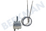 Thermostat Einstellbar