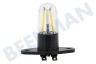 Lampe für Mikrowelle, LED 240V 2W