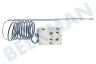 Smeg Ofen-Mikrowelle Thermostat Sensor 2 Kontakte