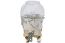 Elektro helios SU6030 949716252 03 Mikrowellenherd Lampe 